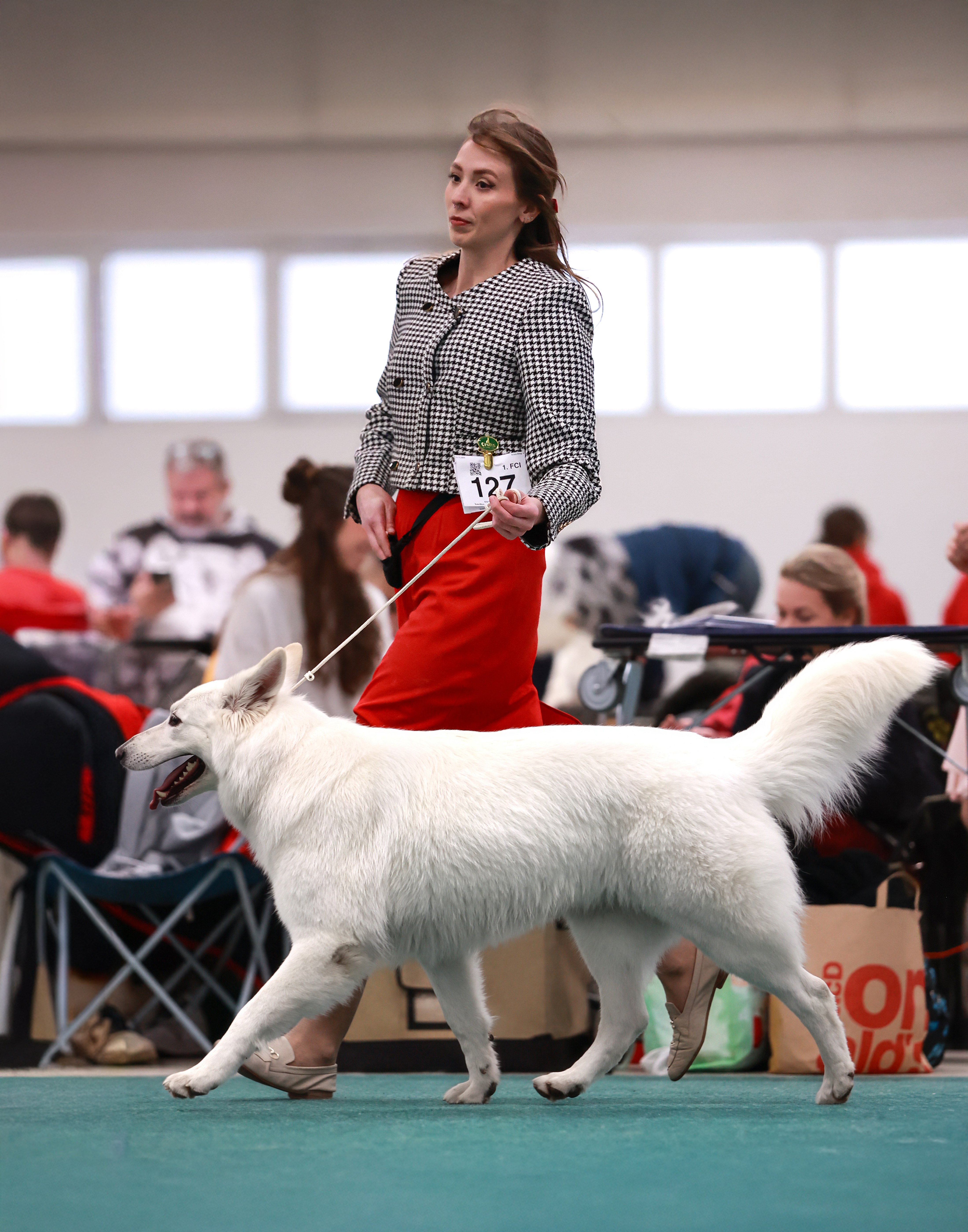 Foxy Lady - Nitra 2025