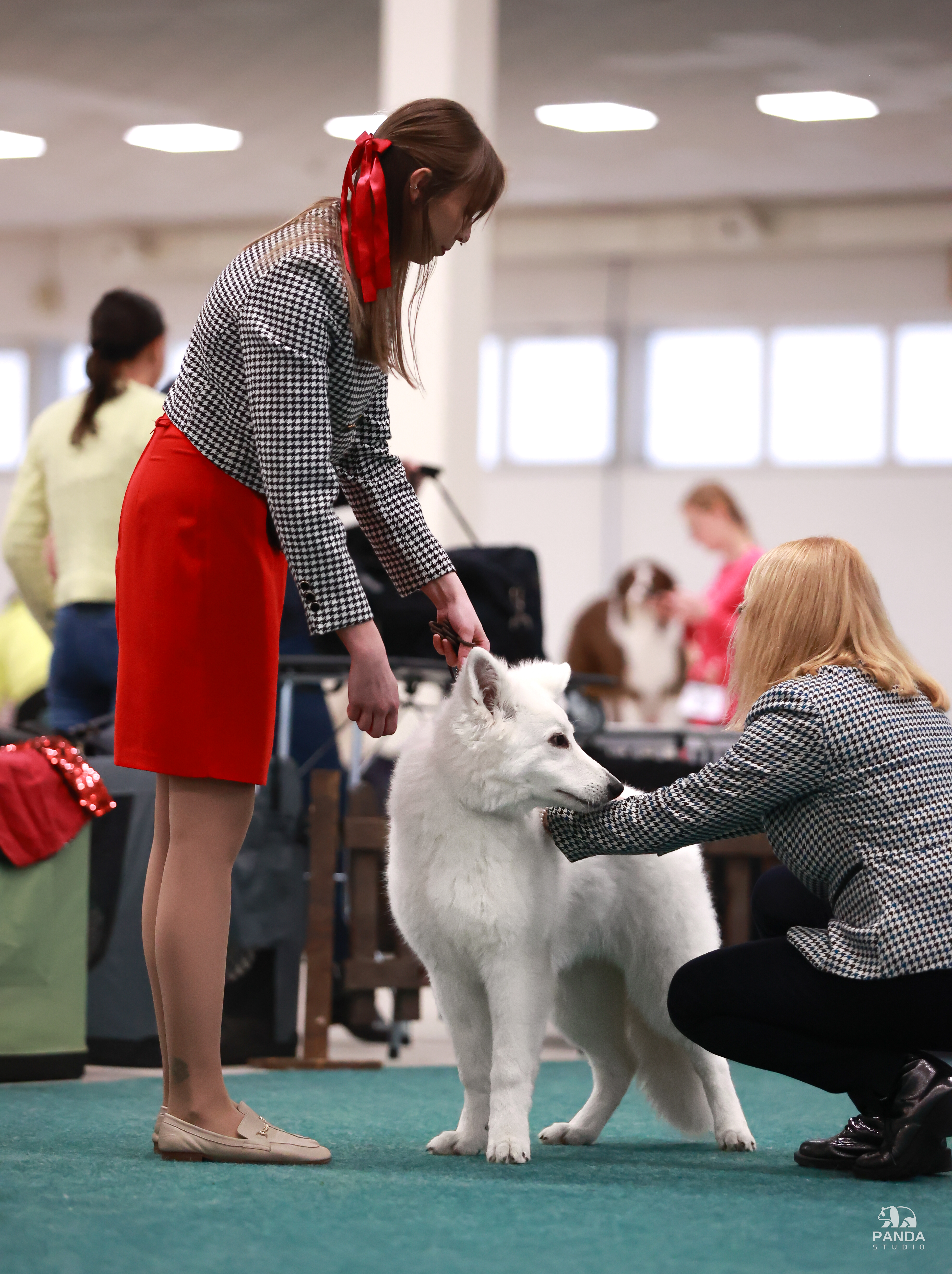 Foxy Lady - Nitra 2025