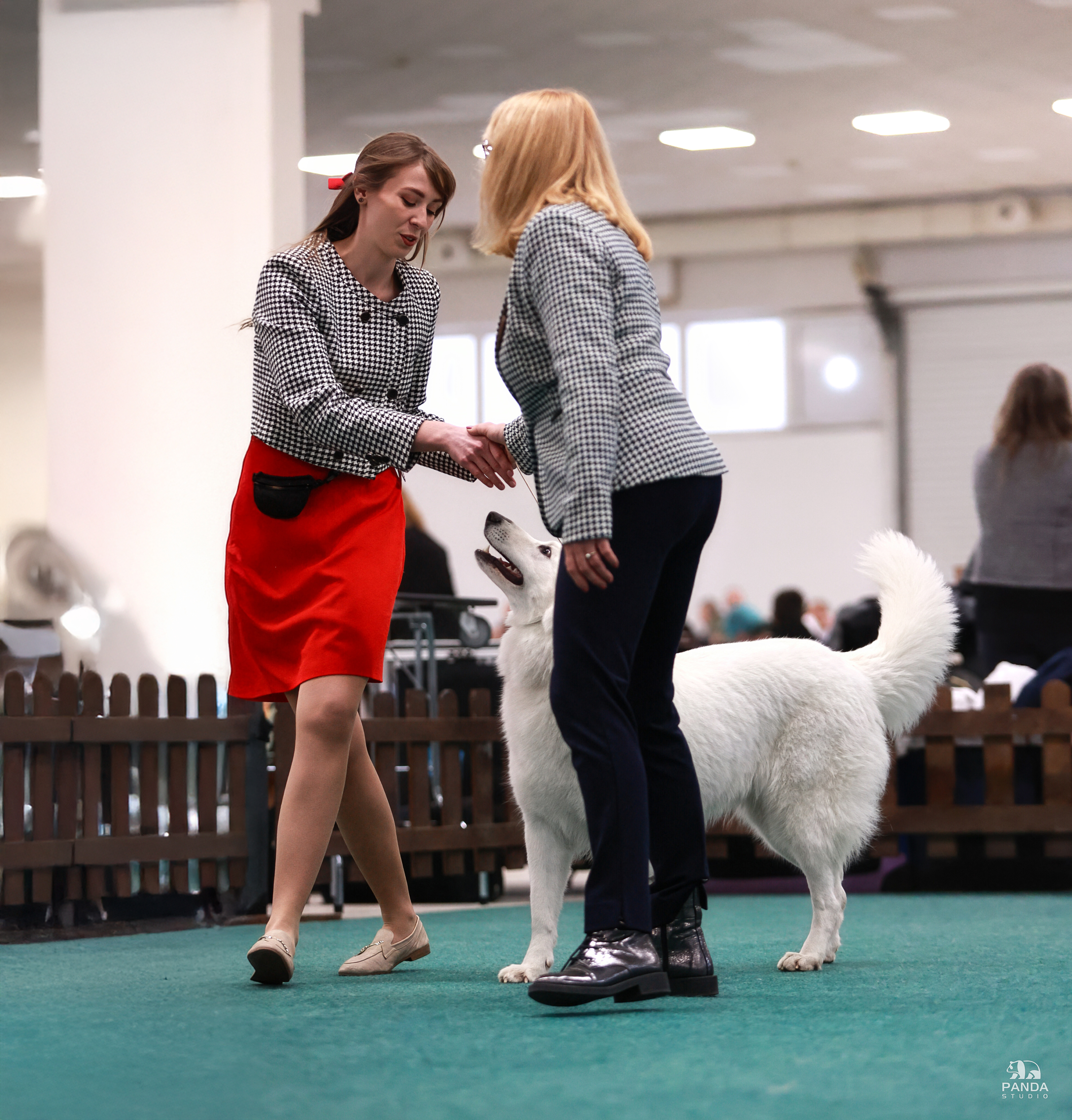 Foxy Lady - Nitra 2025