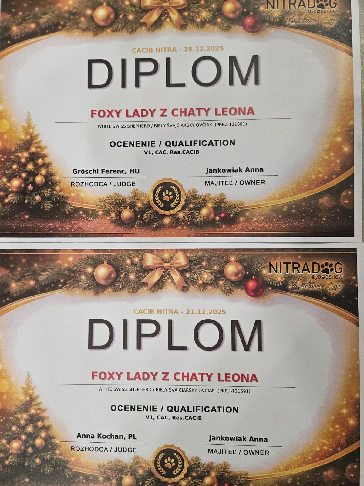 Foxy Lady - Nitra 2025