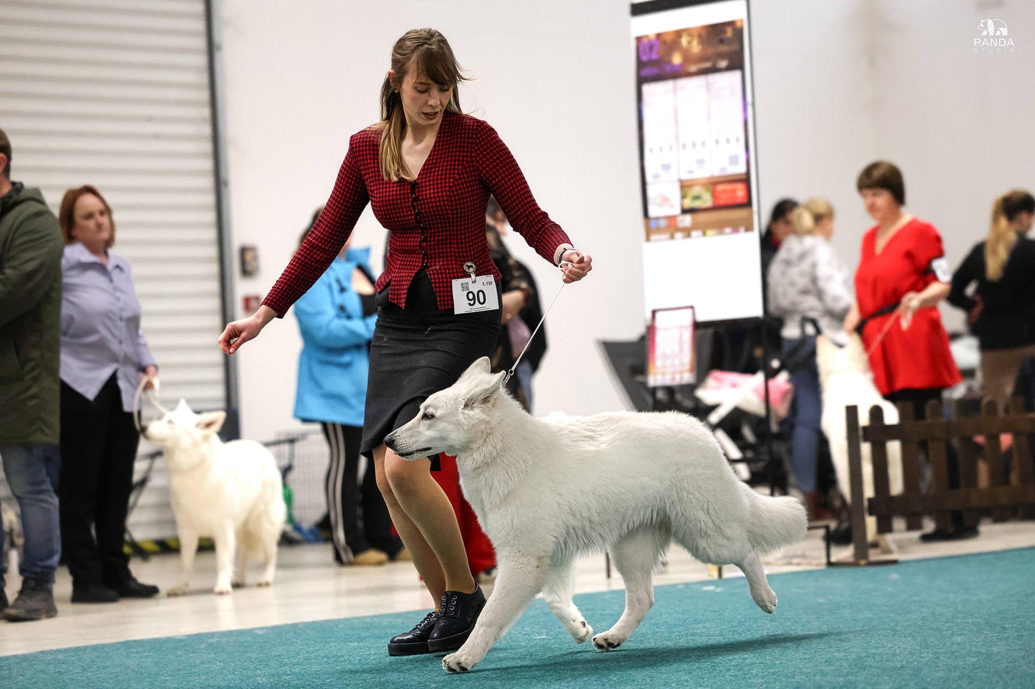 Elza from Frozen - Nitradog Carnival Cup