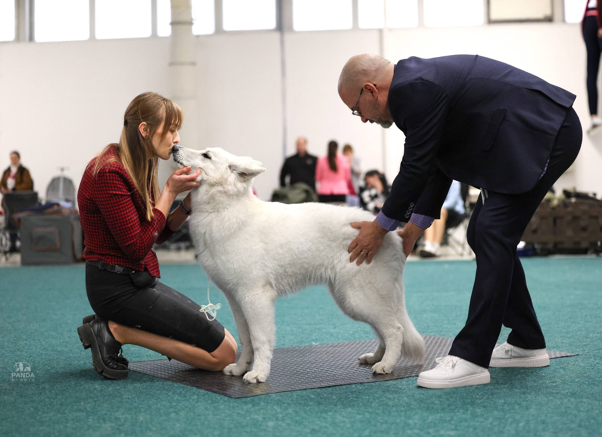 Elza from Frozen - Nitradog Carnival Cup