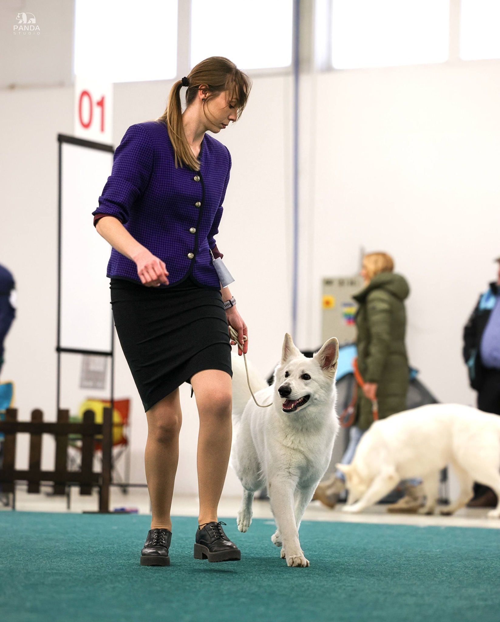 Foxy Lady - Nitradog Carnival Cup