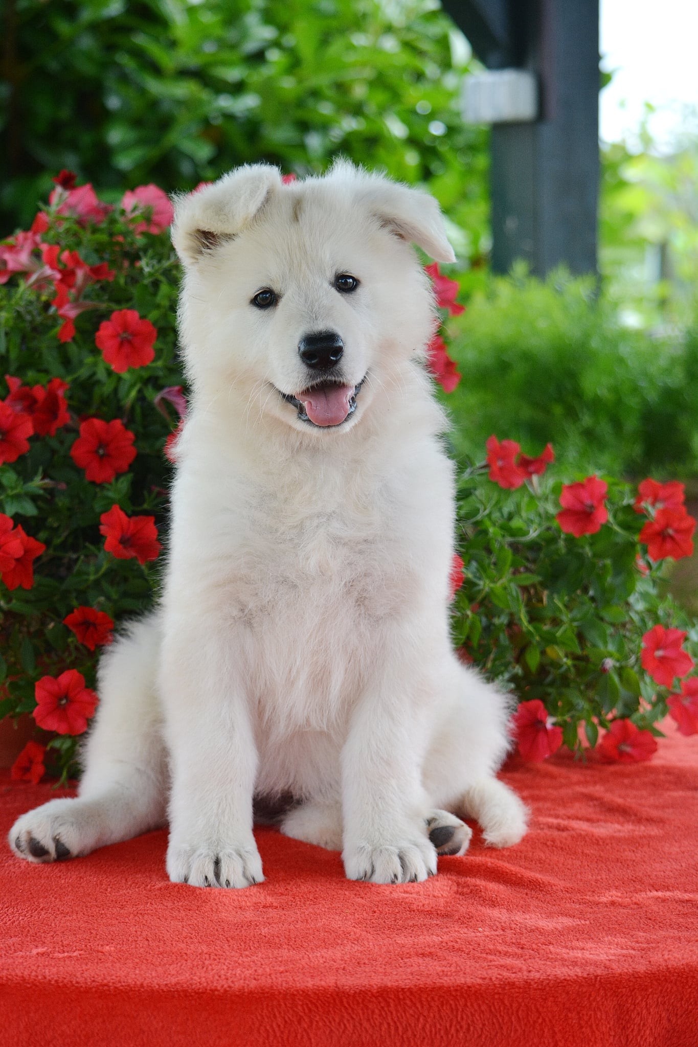 One Magic Yennefer OBA